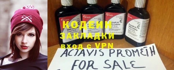 шишки Новодвинск