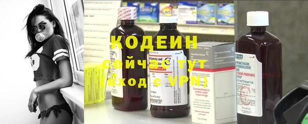 шишки Новодвинск