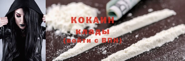 шишки Новодвинск