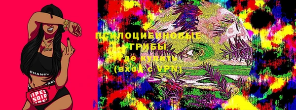 ГАЛЛЮЦИНОГЕННЫЕ ГРИБЫ Нефтегорск