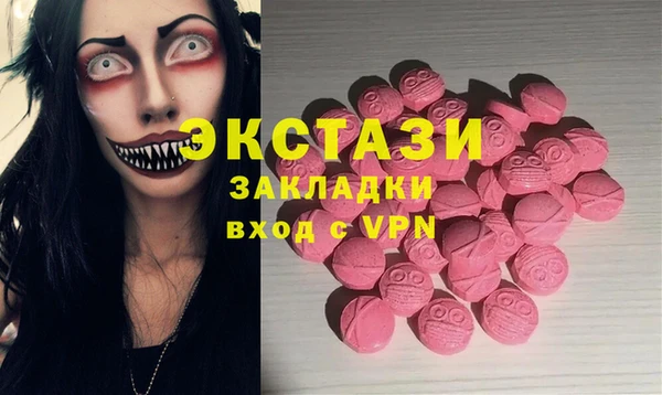 шишки Новодвинск