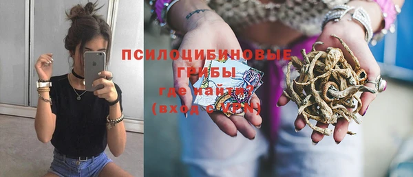 шишки Новодвинск