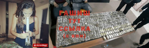 шишки Новодвинск