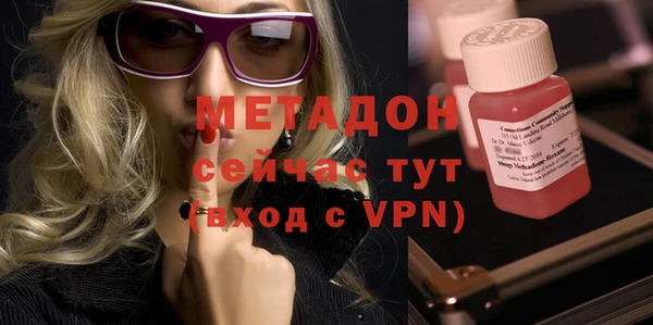 шишки Новодвинск