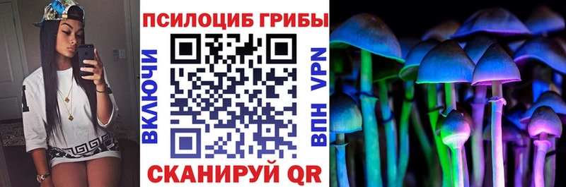 MEGA ссылки  Новокузнецк  Галлюциногенные грибы прущие грибы 
