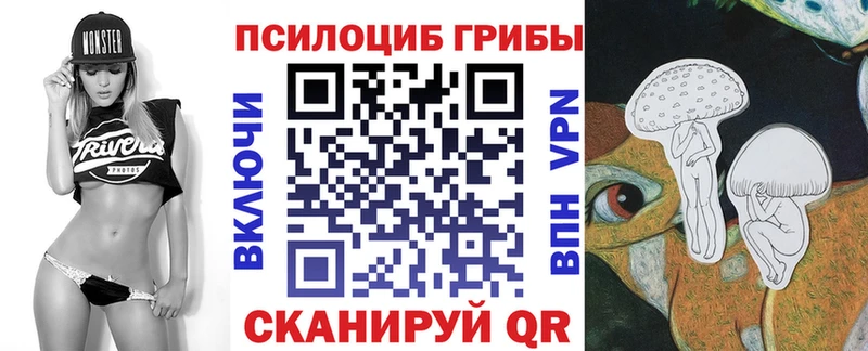 Галлюциногенные грибы Psilocybine cubensis Новокузнецк