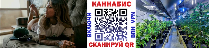 Марихуана планчик  где купить   Новокузнецк 